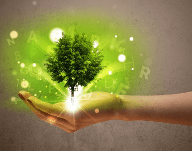 Participación ambiental de Limpiezas Apeles