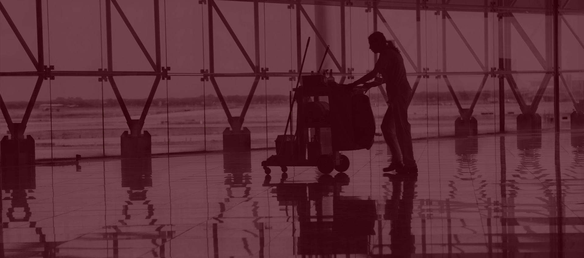 Servicios profesionales de limpieza de Limpiezas Apeles